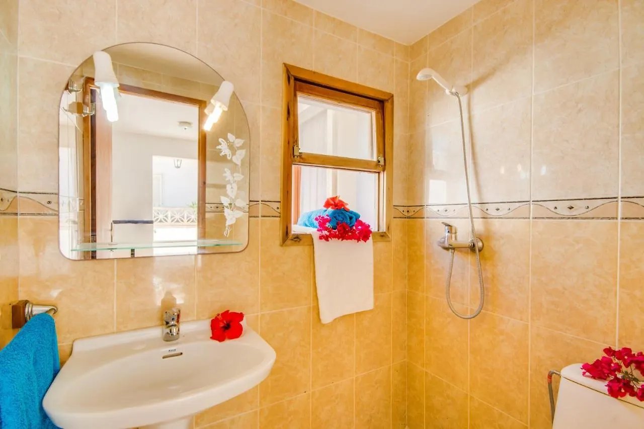 Ideal Property Mallorca - Villa Rosita 12 阿尔库迪亚