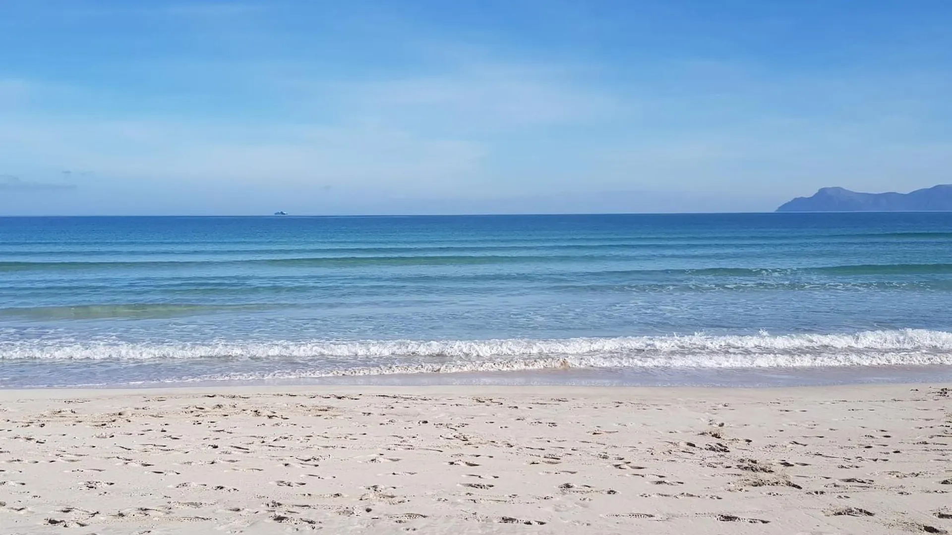 Ideal Property Mallorca - Villa Rosita 12 阿尔库迪亚 西班牙