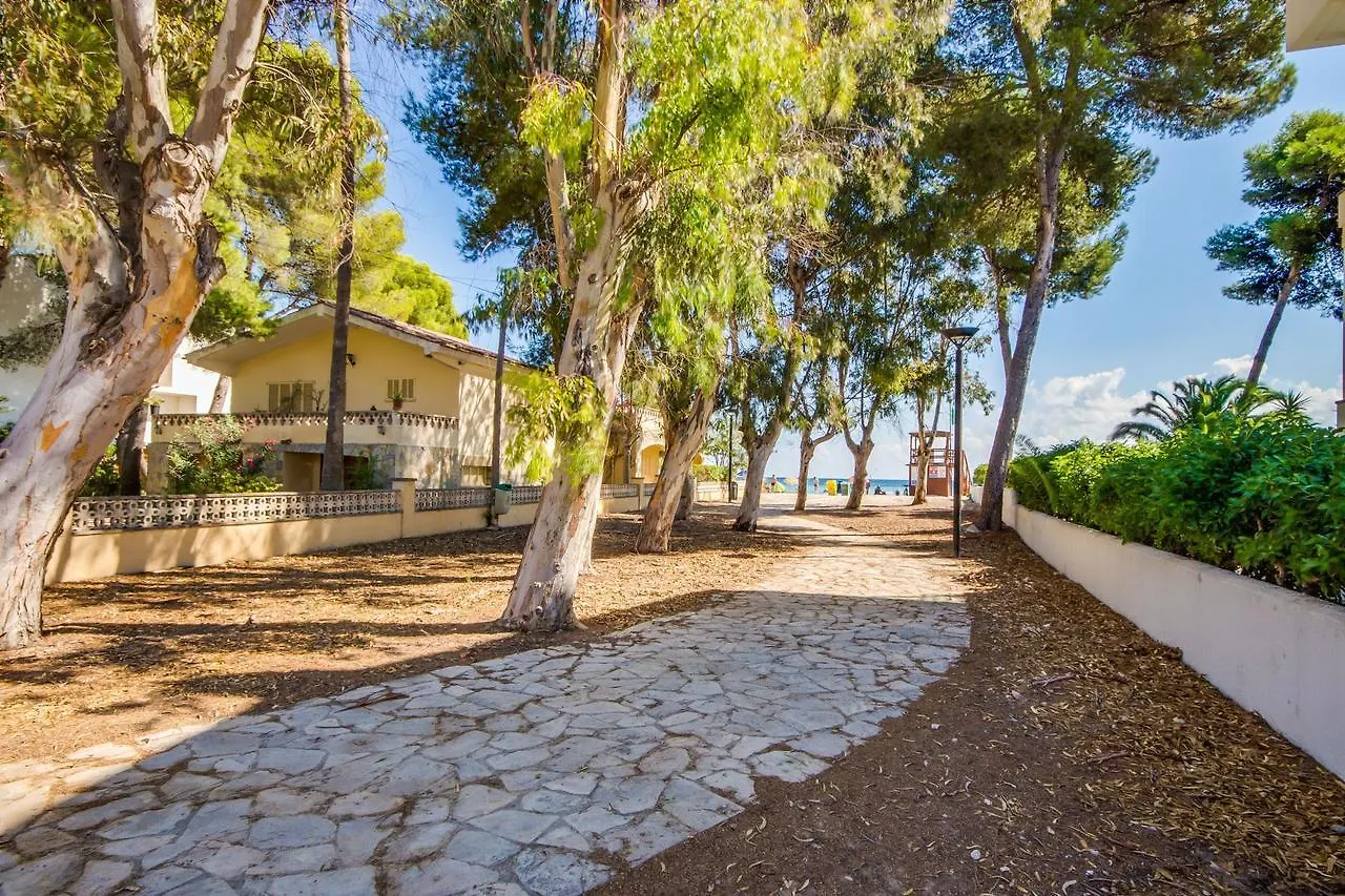 Ideal Property Mallorca - Villa Rosita 12 阿尔库迪亚 度假居